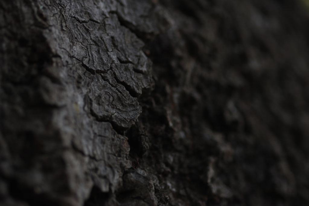 The World Around Us — 02
